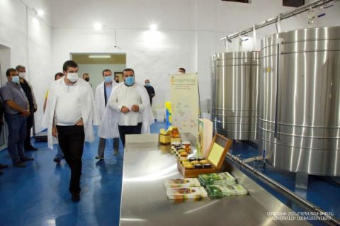 New programs are to be realized for the development of beekeeping. President Harutyunyan visited a honey production company “Honey House Artsakh”